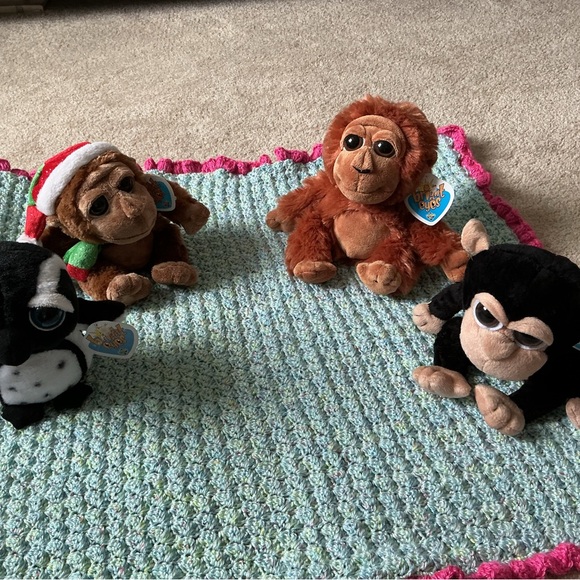 Bright Eyes Collection - Picture 6 of 6